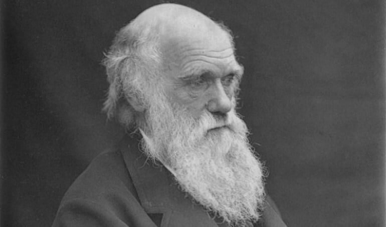 The Evolution of Charles Darwin: John Darnton on the Life and Work of the Father of Evolution