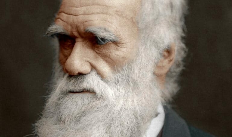 Darwin, Evolution and Economics