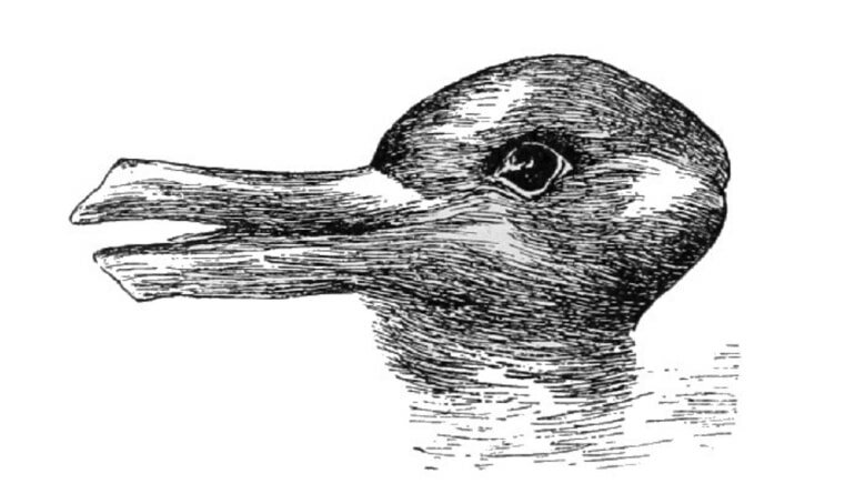 Understanding Ludwig Wittgenstein's Duck-Rabbit idea sized psm v54 d328 optical illusion of a duck or a rabbit head 1 - Understanding Ludwig Wittgenstein's Duck-Rabbit